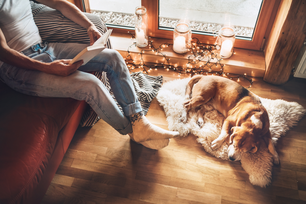 Cozy home with dog and candles ©Soloviova Liudmyla