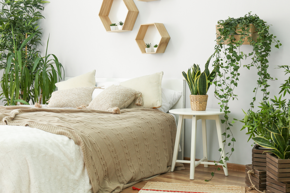 Bedroom with houseplants ©Pixel-Shot